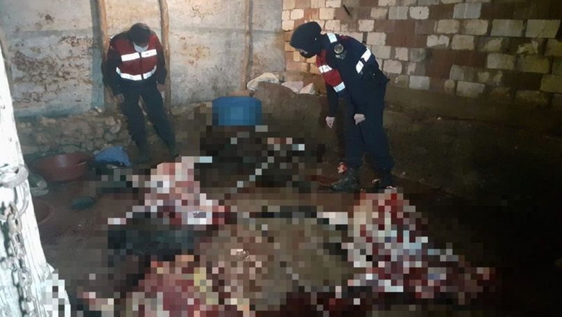 Yok Artık  Bu Kadarıda Olmaz. Süleymanlı Mahallesinde At Ve eşek Eti Keserken Suç Üstü Yakalandılar.